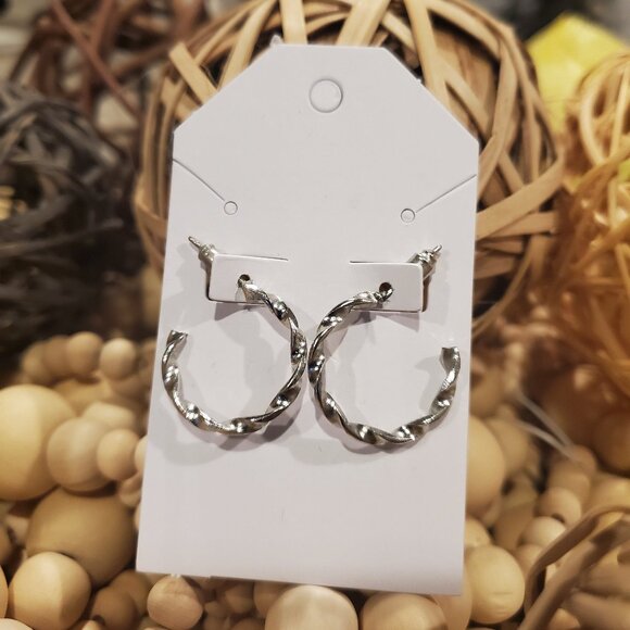 Jewelry - Silver Earrings 0013